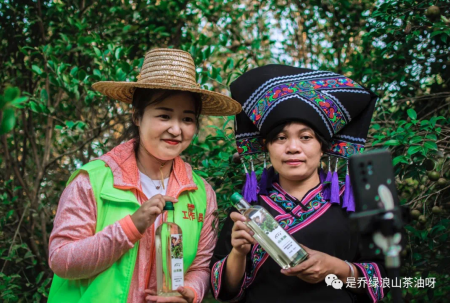 广西上林县的乔绿浪山茶油，你知道多少？