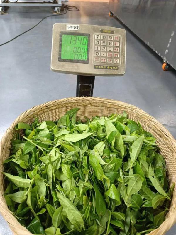 【今日头条资讯】长沙品茶:揭秘1000元左右的价位