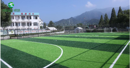 绿草如茵：明筑足球场人造草坪