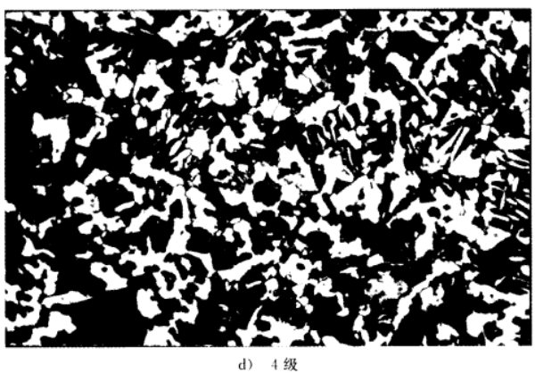 phpMJwwkl